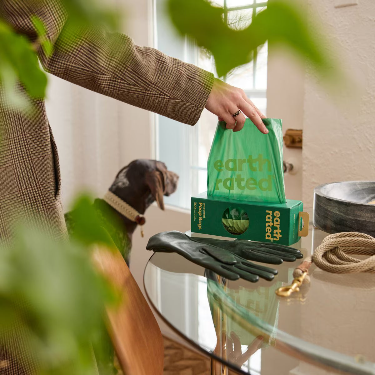 Earth Rated Dog Poop Bags, Thick Grab & Go Single Roll, Unscented, 300 Bags