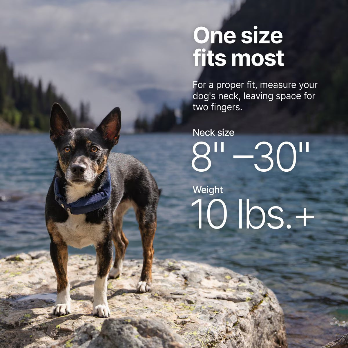 Halo Collar 5 New Wireless Waterproof Plastic Dog Fence & GPS Dog Collar, Midnight Blue