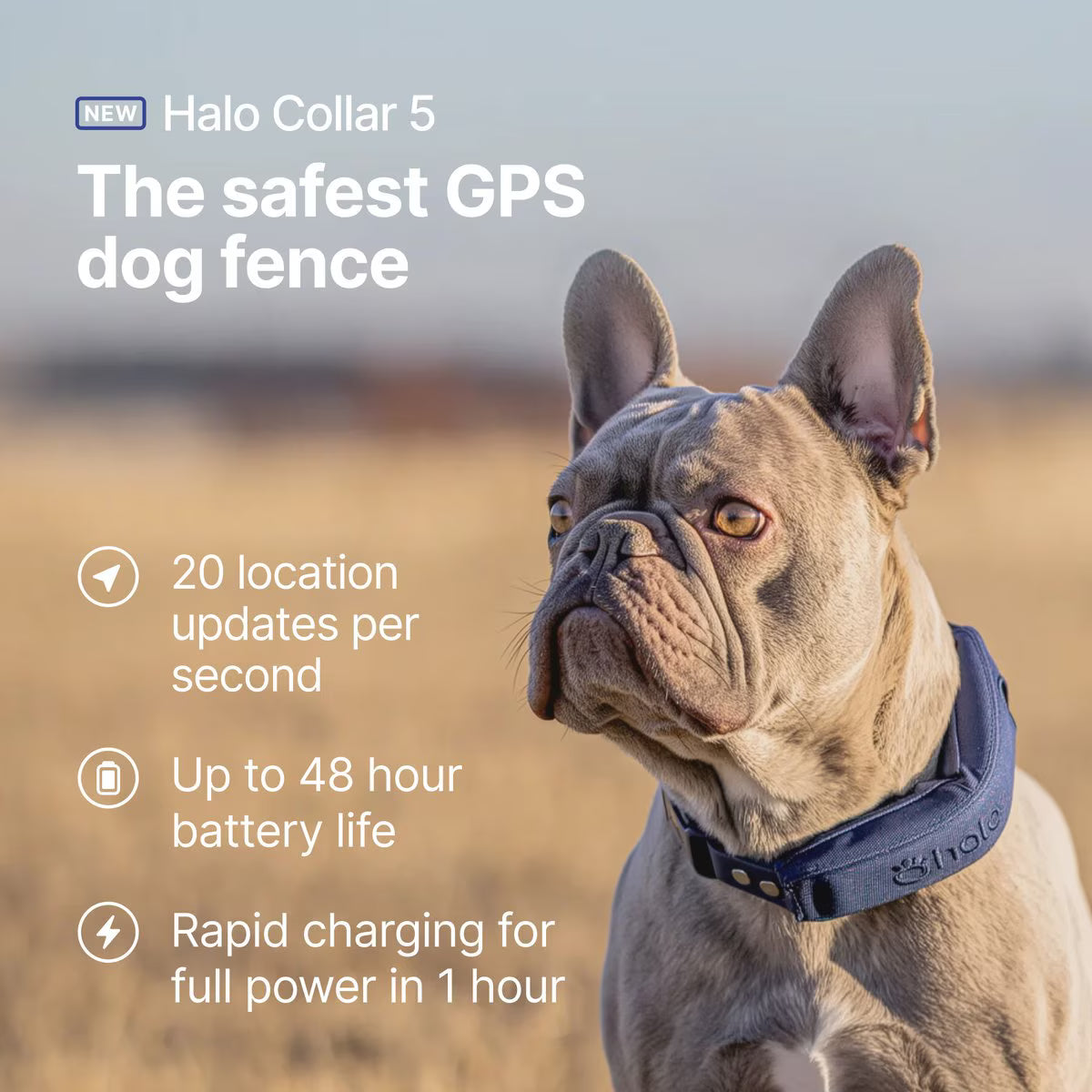 Halo Collar 5 New Wireless Waterproof Plastic Dog Fence & GPS Dog Collar, Midnight Blue