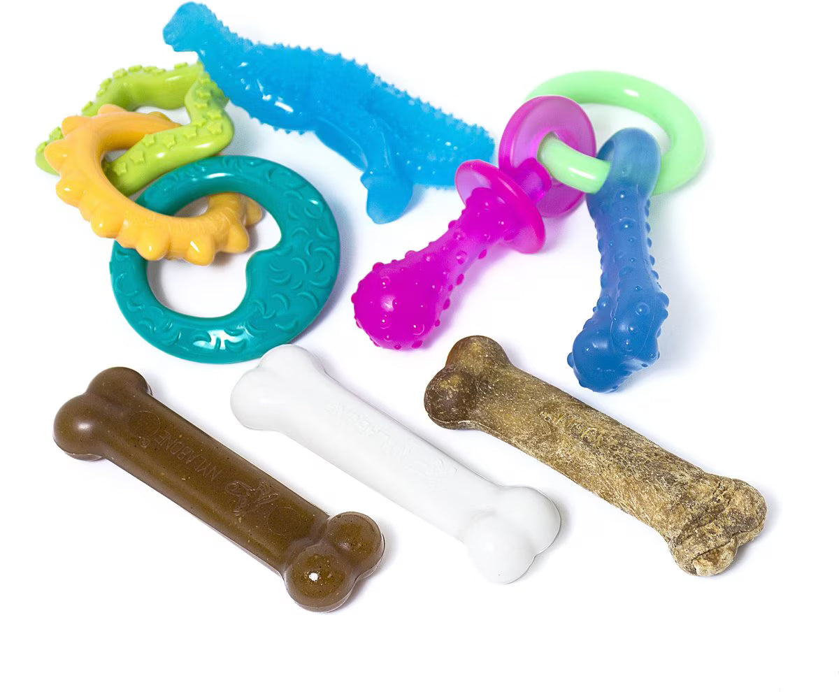 Nylabone Puppy Starter Pack Chew Toys & Treat Variety, Small, 6 count