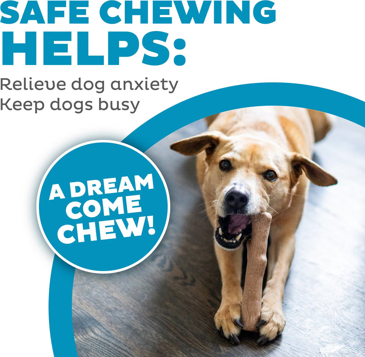 Petstages Dogwood Calming Tough Dog Chew Toy, Medium, 2 count