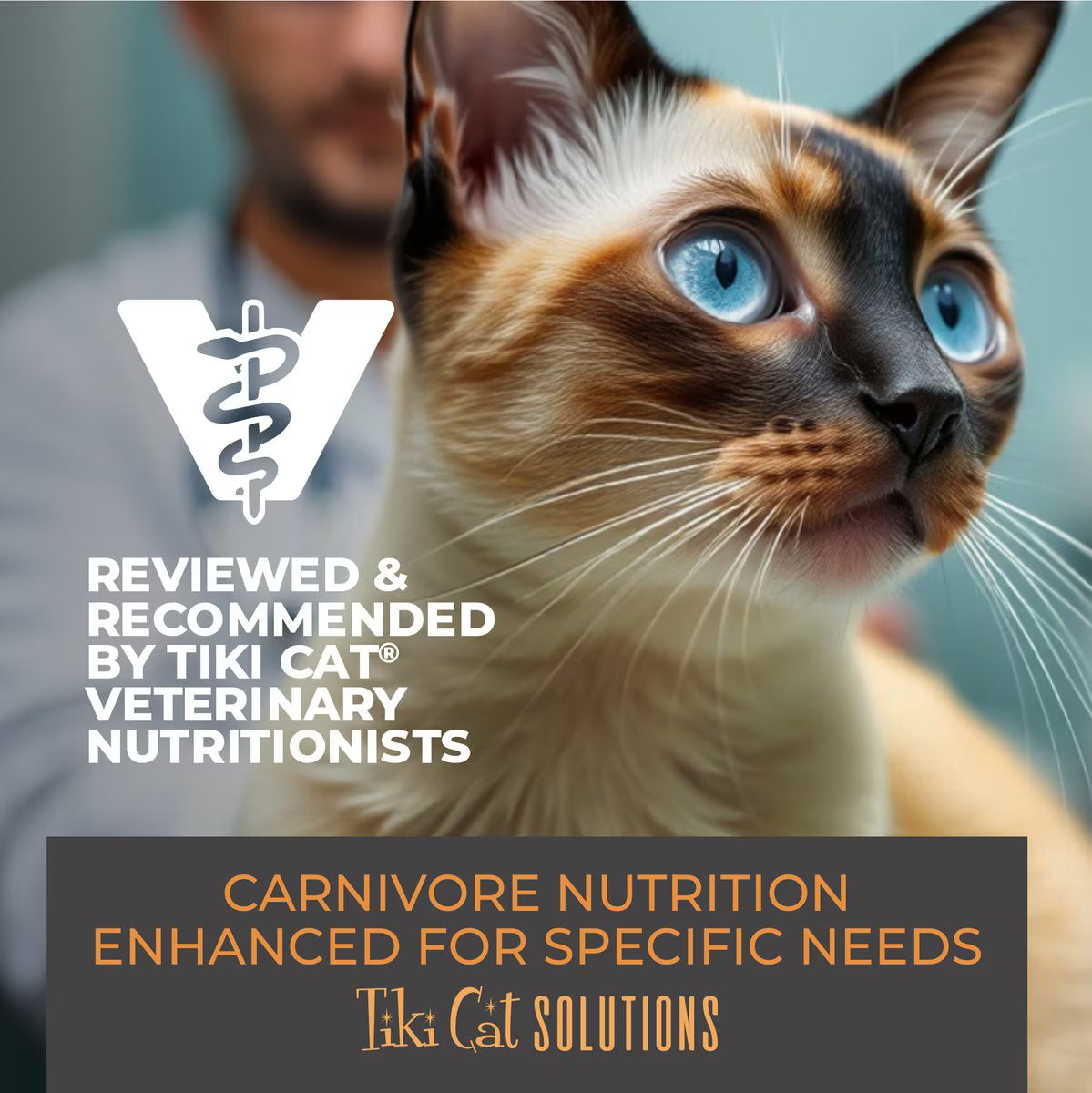 Tiki Cat Solutions Digestion Lamb & Egg Grain-Free Dry Cat Food, 2.8-lb bag