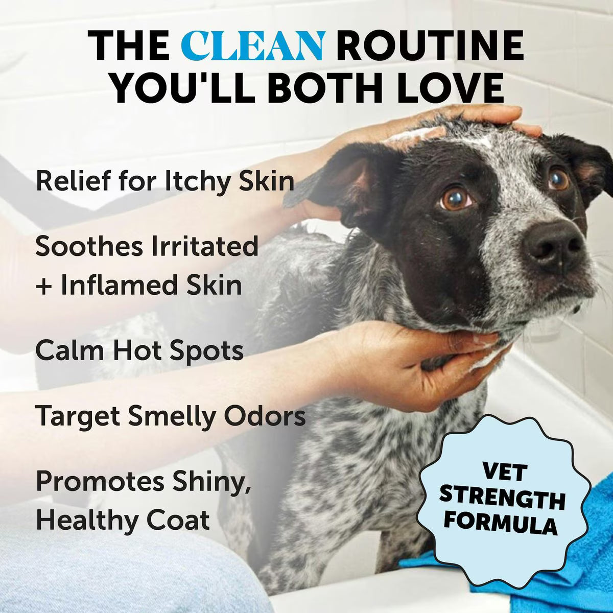 Pet Honesty Chlorhexidine Antibacterial Itchy Skin, Allergy Relief & Sensitive Skin Dog Shampoo