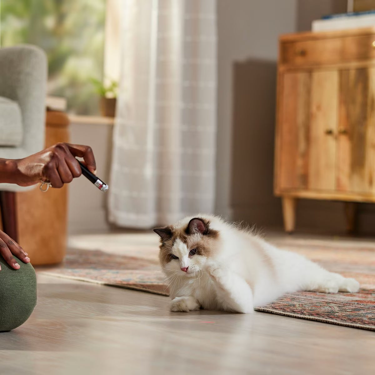 Ethical Pet Spot Laser Classic 5-In-1 Dog & Cat Toy
