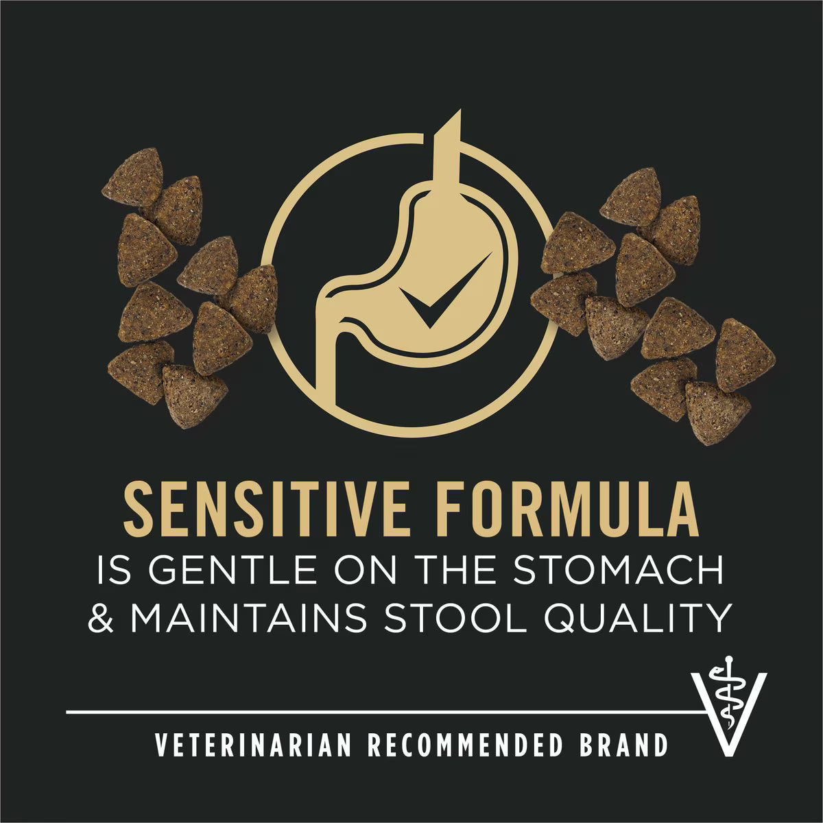 Purina Pro Plan Adult Sensitive Skin & Stomach Salmon & Rice Formula Dry Dog Food, 4-lb bag