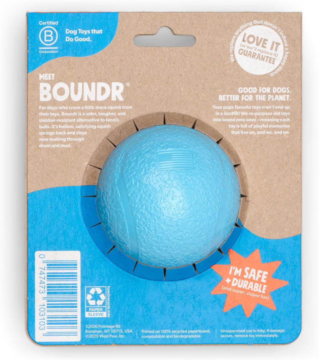 West Paw Boundr Ball Dog Fetch Chew Toy, Aqua Blue, Large