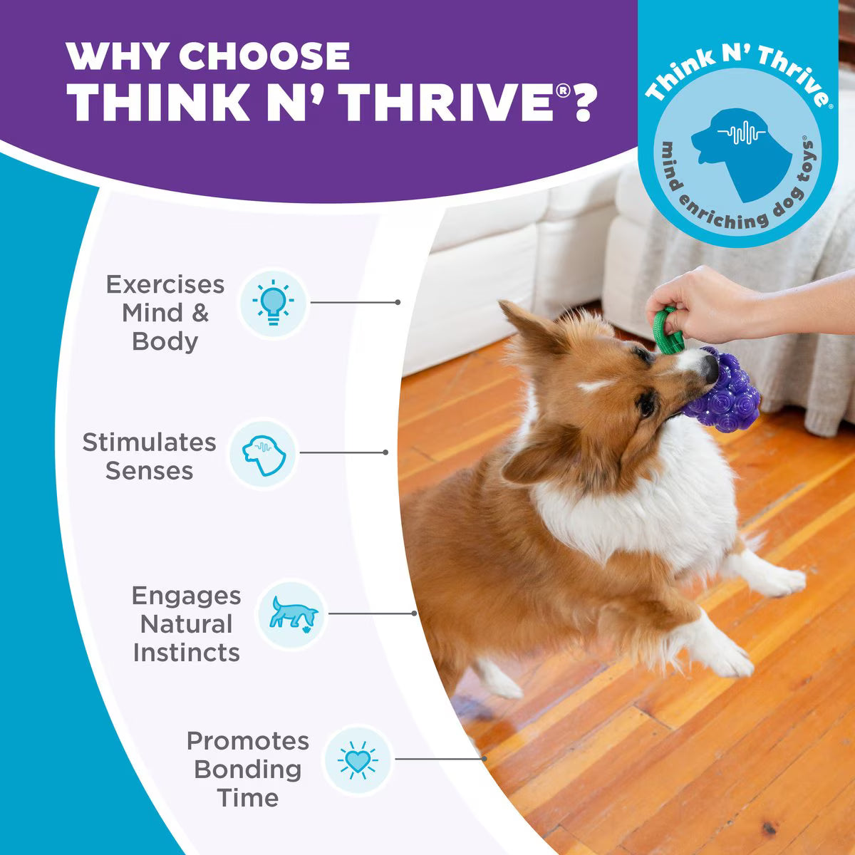 Outward Hound Dental Grapes Treat Stuffer Dental Dog Chew Toy