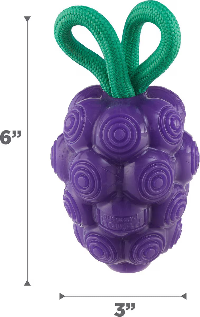 Outward Hound Dental Grapes Treat Stuffer Dental Dog Chew Toy