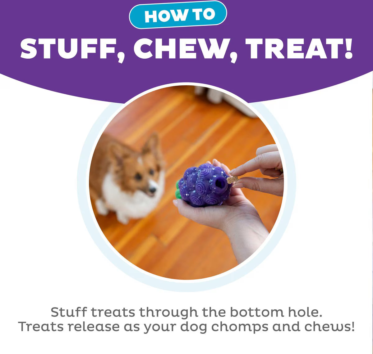 Outward Hound Dental Grapes Treat Stuffer Dental Dog Chew Toy