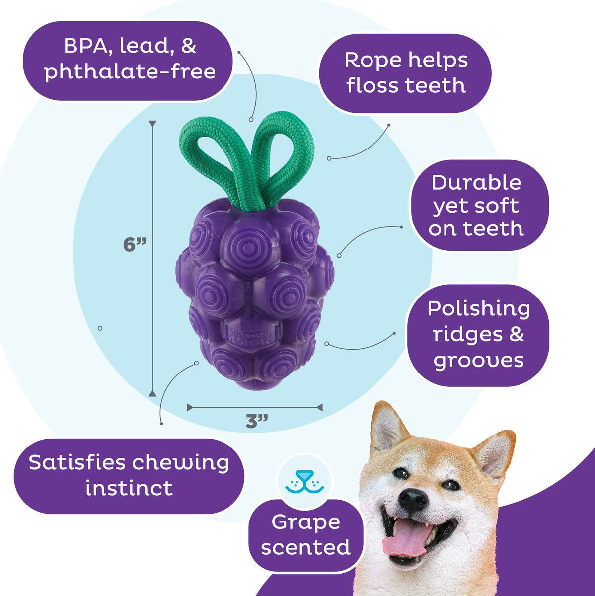Outward Hound Dental Grapes Treat Stuffer Dental Dog Chew Toy