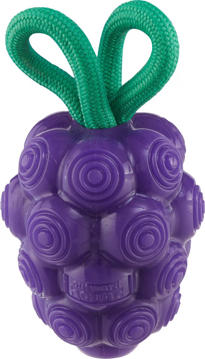 Outward Hound Dental Grapes Treat Stuffer Dental Dog Chew Toy