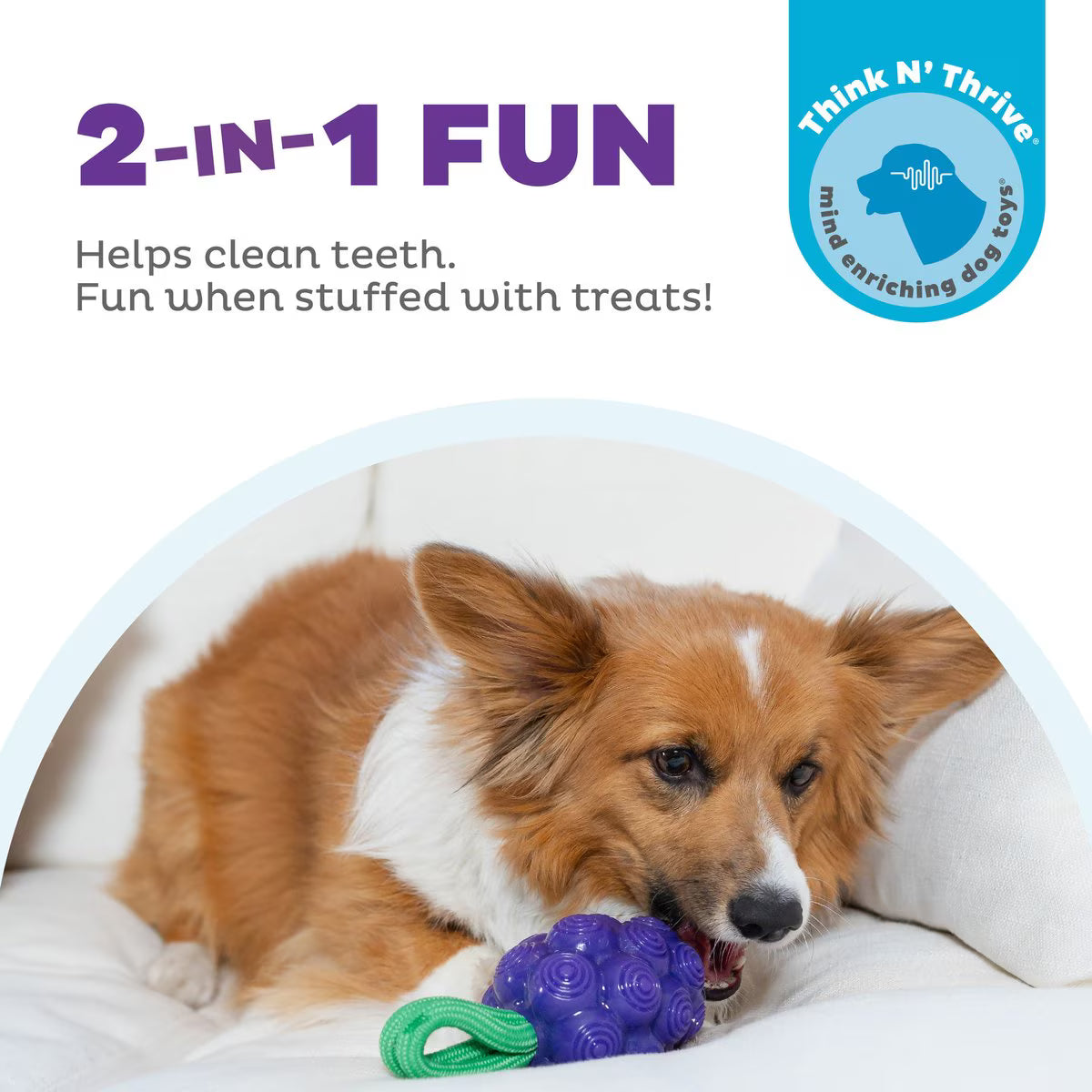 Outward Hound Dental Grapes Treat Stuffer Dental Dog Chew Toy