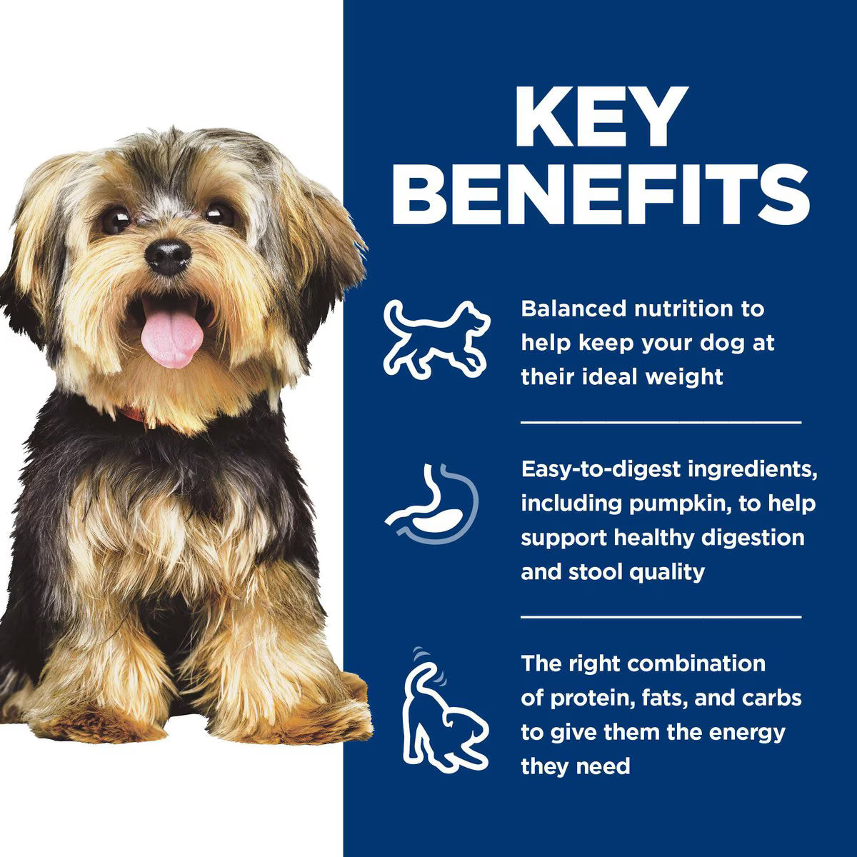 Hill's Science Diet Adult Small Paws Chicken & Vegetables & Beef & Vegetables Variety Pack Wet Dog Food Trays, 3.5-oz, case of 12