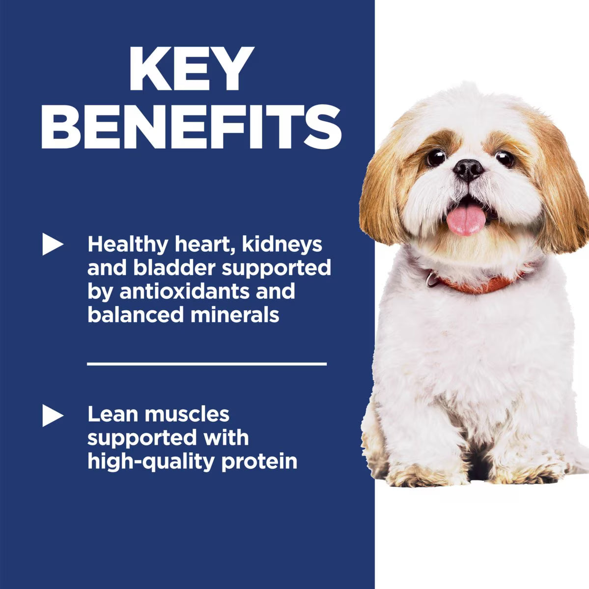 Hill's Science Diet Senior Adult 7+ Small Bites Chicken Meal, Barley & Rice Recipe Dry Dog Food, 15-lb bag