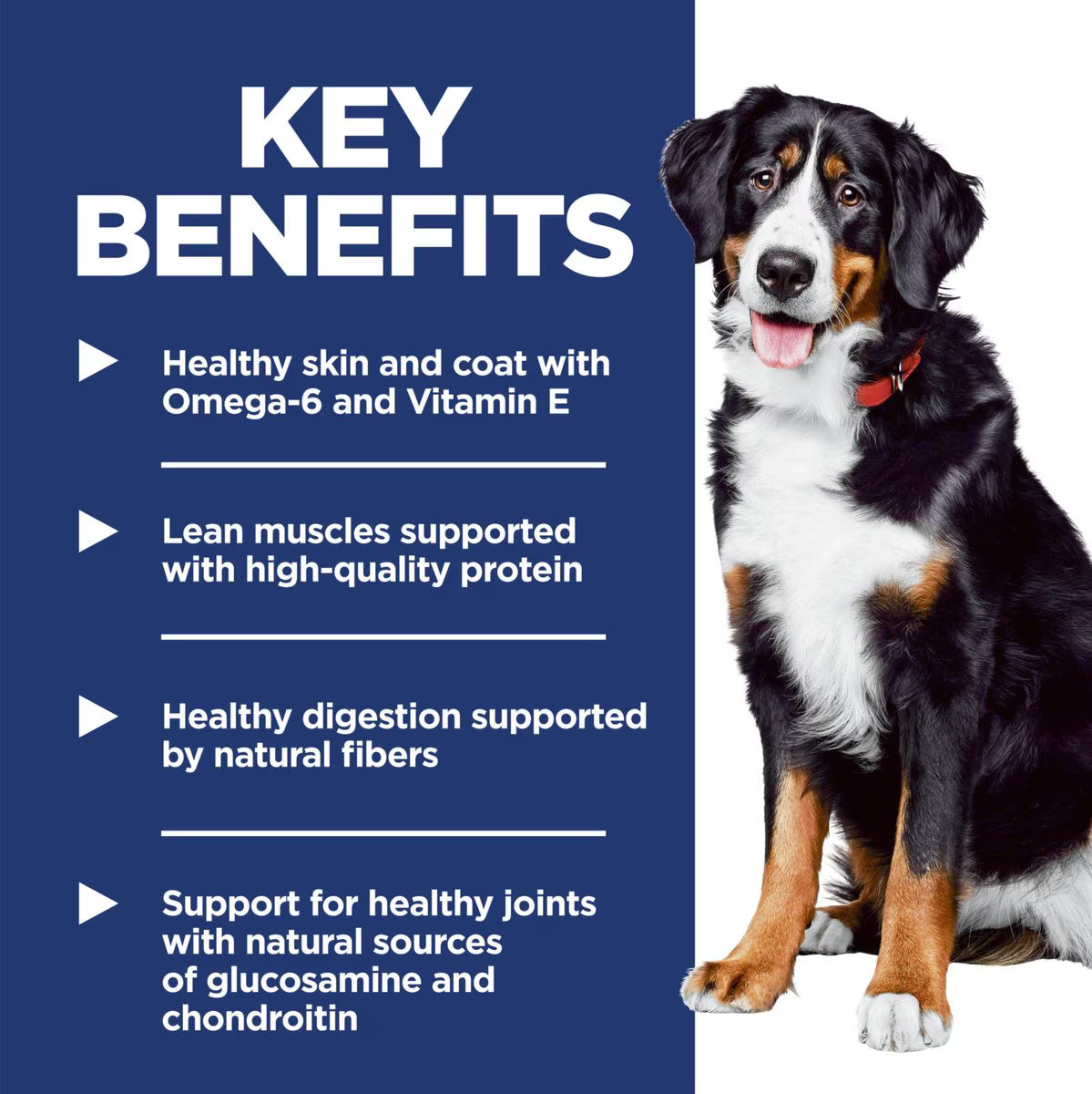 Hill's Science Diet Adult Large Breed Chicken & Barley Dry Dog Food, 35-lb bag