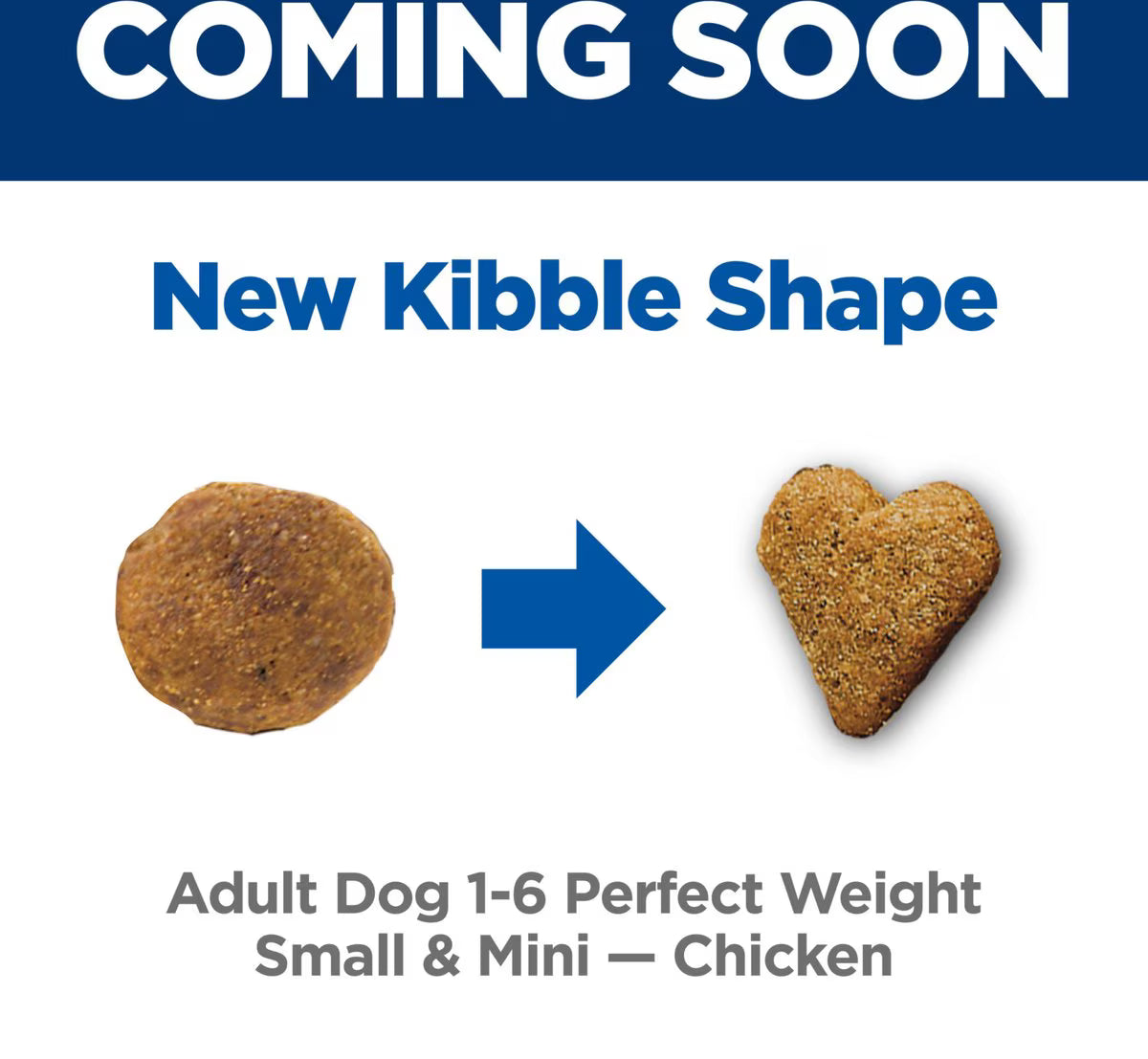 Hill's Science Diet Adult Perfect Weight Management Small Breed & Mini Breed Chicken Recipe Dry Dog Food, 12.5-lb bag