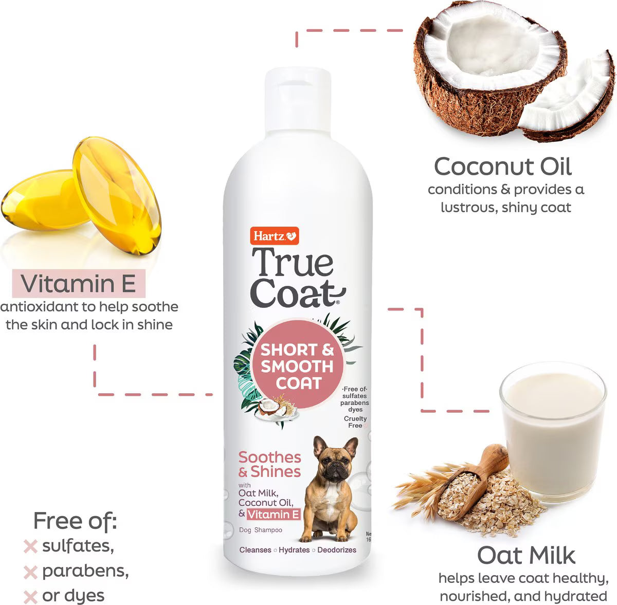 Hartz True Coat Short & Smooth Soothes & Shines with Oat Milk, Coconut Oil & Vitamin E Dog Shampoo, 16-fl oz bottle