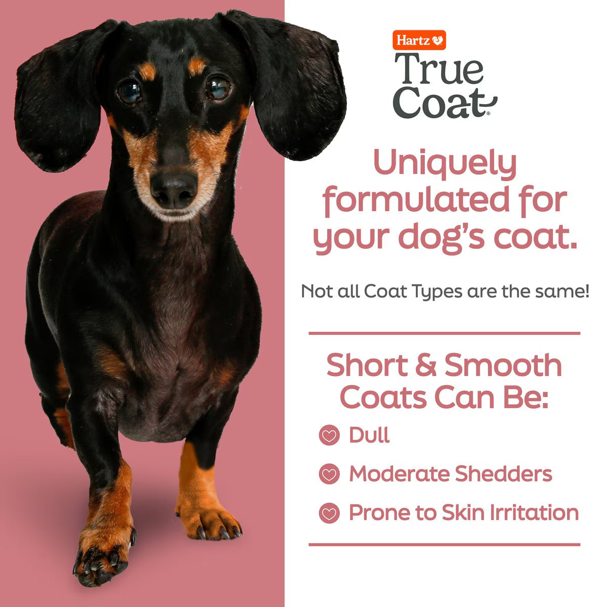 Hartz True Coat Short & Smooth Soothes & Shines with Oat Milk, Coconut Oil & Vitamin E Dog Shampoo, 16-fl oz bottle