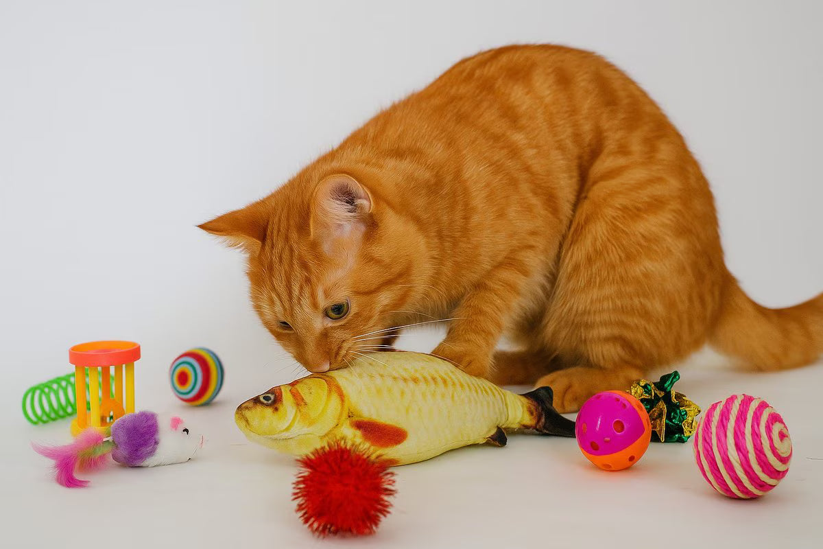 Pet Fit For Life Multi Pack Cat Toy, 20 count