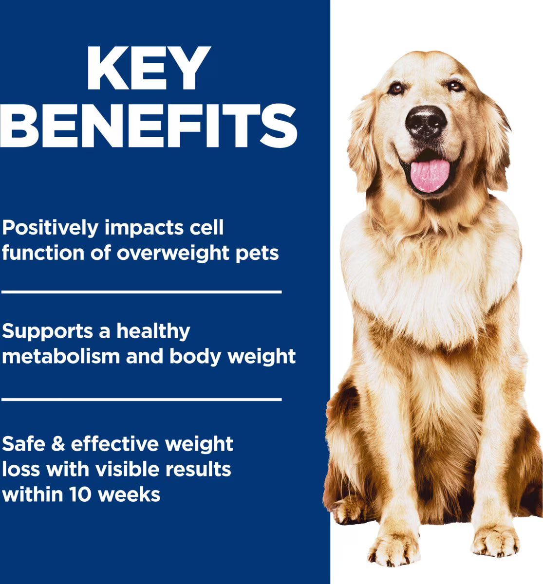 Hill's Science Diet Adult Perfect Weight Management Chicken Recipe Dry Dog Food, 25-lb bag