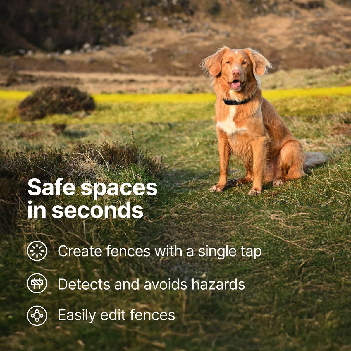 Halo Collar 5 New Wireless Waterproof Plastic Dog Fence & GPS Dog Collar, Midnight Blue