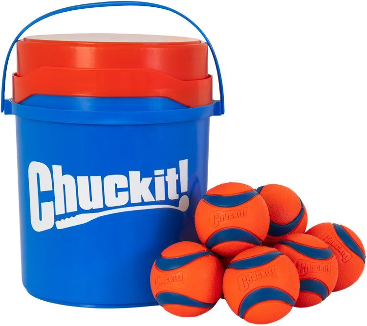 Chuckit! Bucket Fetch Dog Toy