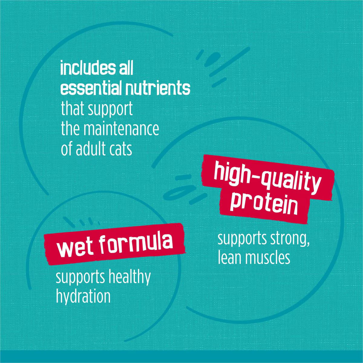 Friskies Tasty Treasures Adult Prime Filets in Gravy Variety Pack Wet Cat Food, 5.5-oz can, case of 24