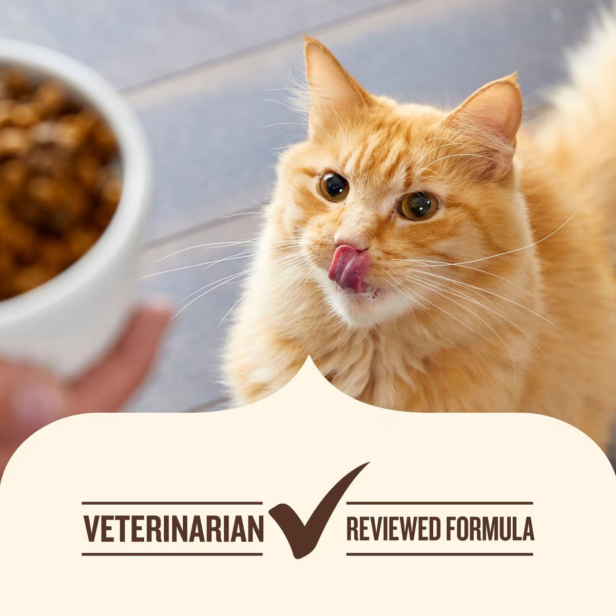 Nutrish Everyday Digestion Chicken, Brown Rice & Salmon Recipe with Peas & Carrots Dry Cat Food, 13-lb bag (Rachael Ray)