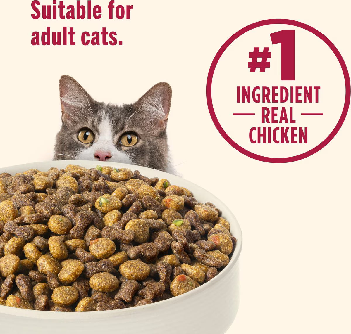 Nutrish Everyday Digestion Chicken, Brown Rice & Salmon Recipe with Peas & Carrots Dry Cat Food, 13-lb bag (Rachael Ray)