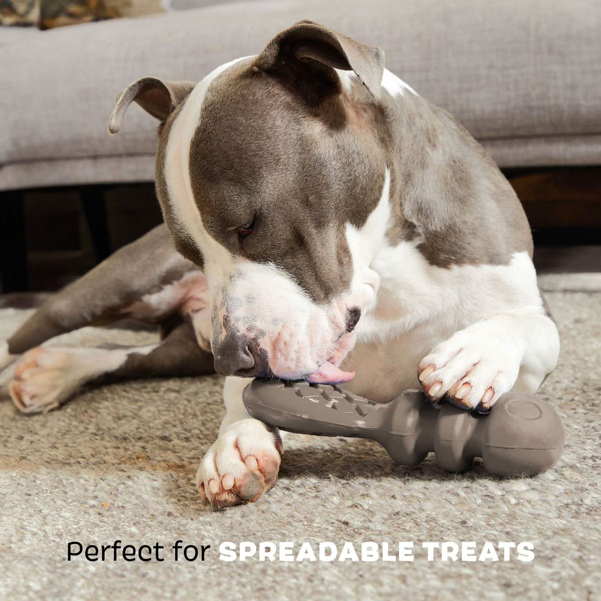 BARK Buck Wild Interactive Tough Dog Toy, Grey, Large