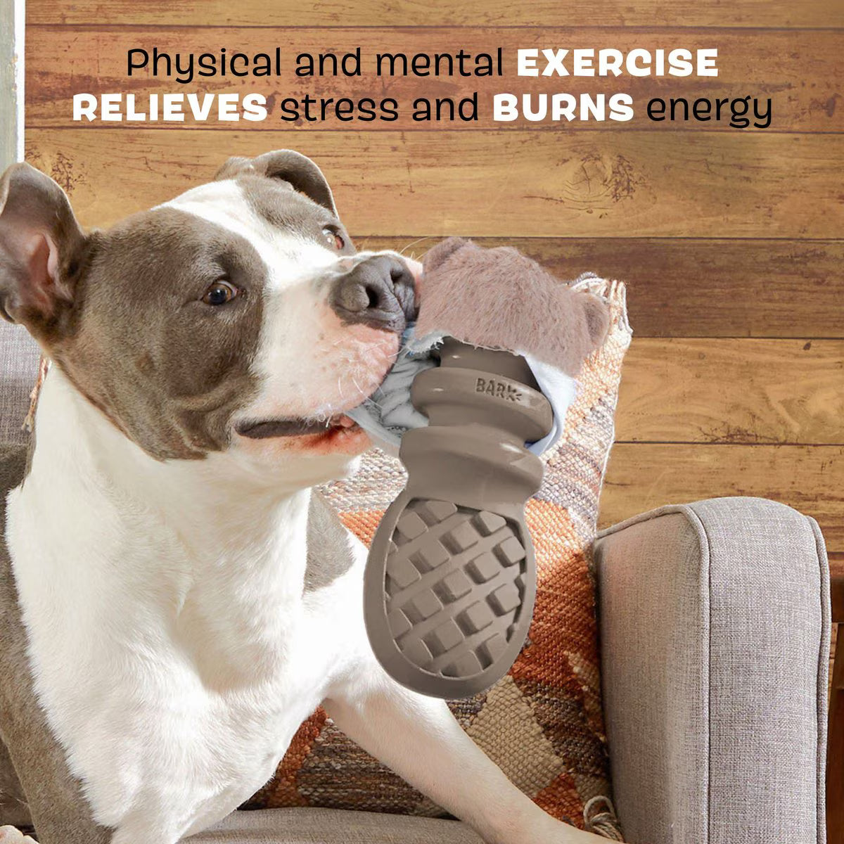 BARK Buck Wild Interactive Tough Dog Toy, Grey, Large