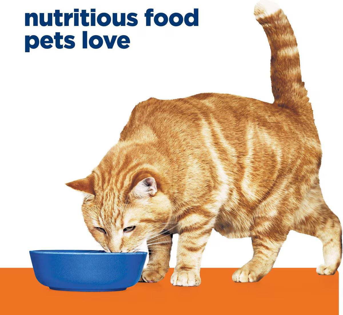 Hill's Prescription Diet c/d Multicare Urinary Care with Chicken Wet Cat Food, 5.5-oz, case of 24