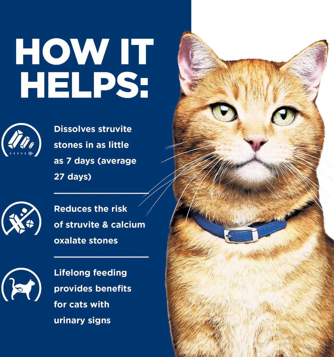 Hill's Prescription Diet c/d Multicare Urinary Care with Chicken Wet Cat Food, 5.5-oz, case of 24