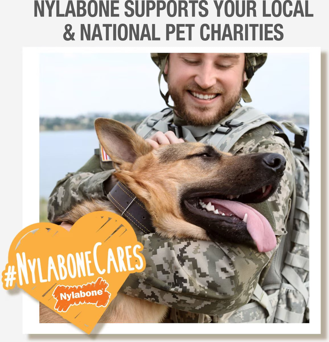 Nylabone Ergonomic Hold & Chew Wishbone Power Chew Durable Dog Toy Bison, Large