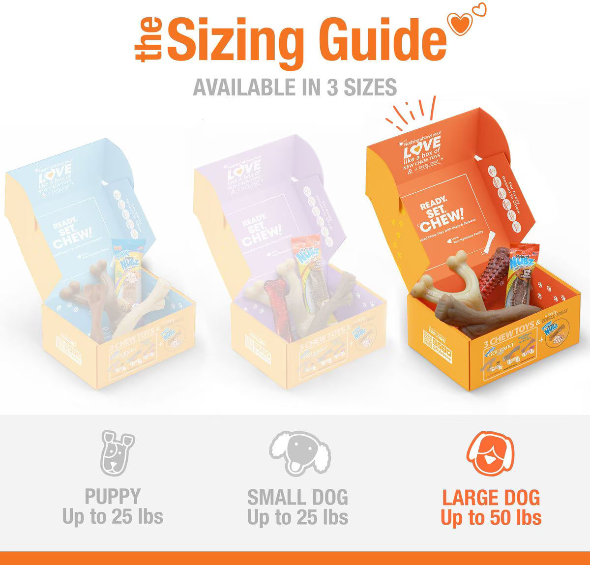 Nylabone The Box Chew Toy & Treat Gift Box for Large Dogs