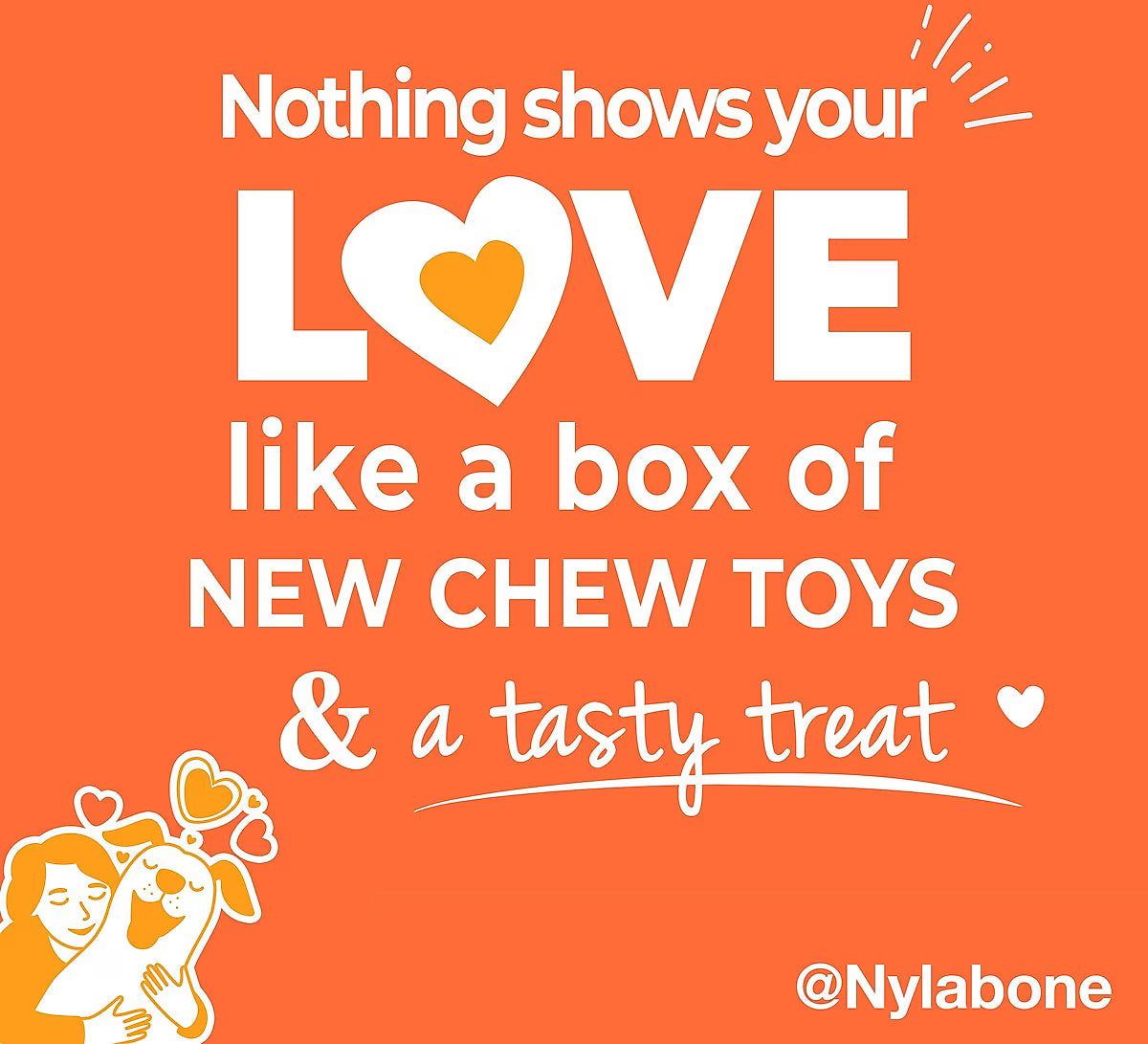 Nylabone The Box Chew Toy & Treat Gift Box for Large Dogs