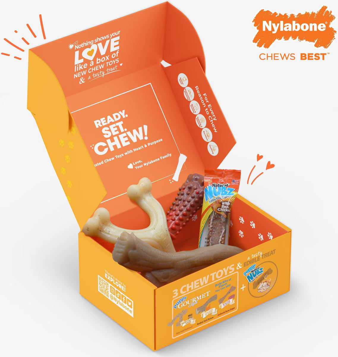 Nylabone The Box Chew Toy & Treat Gift Box for Large Dogs