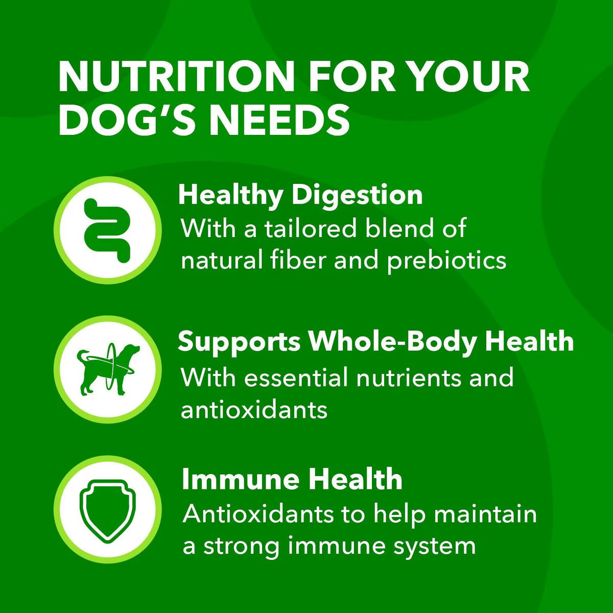 Iams Proactive Health Minichunks with Real Chicken & Whole Grains Dry Dog Food, 3.3-lb bag By Iams
