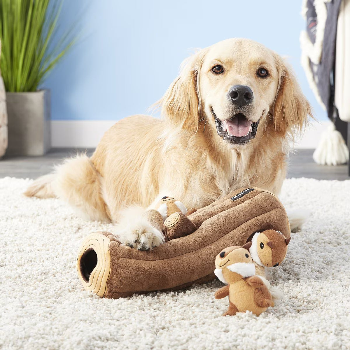 ZippyPaws Burrow Squeaky Hide & Seek Plush Dog Toy, Log & Chipmunks
