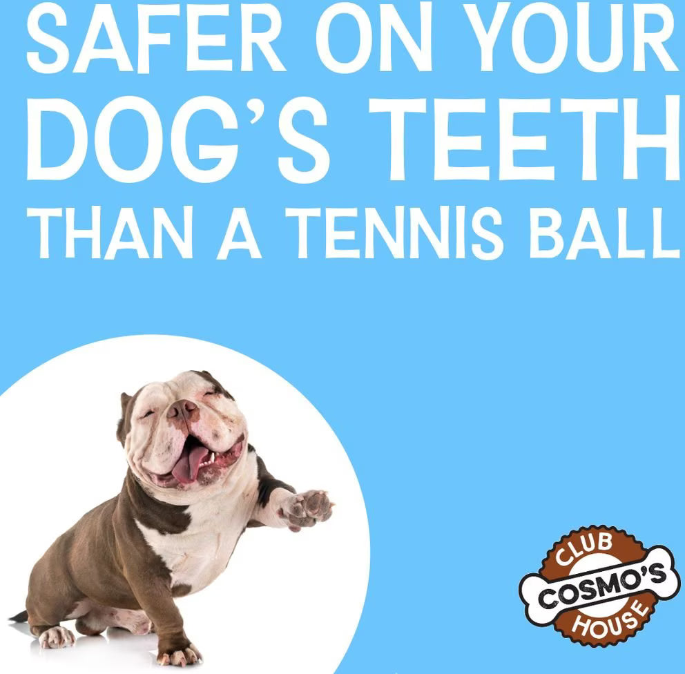 Cosmo's Snack Shack Club House Fling N' Fetch Tough Rope Ball Dog Toy, 2.5-in