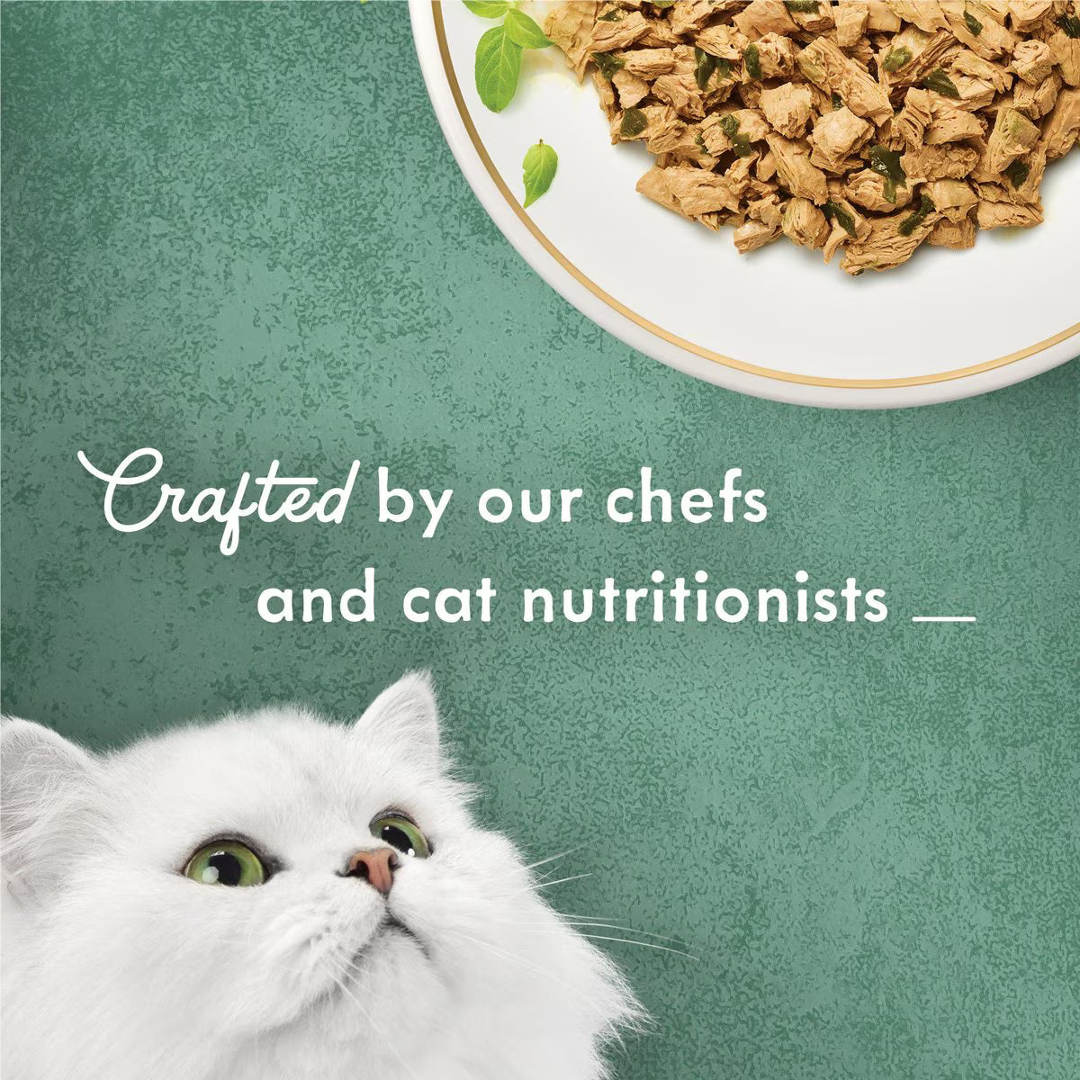Fancy Feast Medleys Shredded White Meat Chicken Fare Canned Cat Food, 3-oz, case of 24