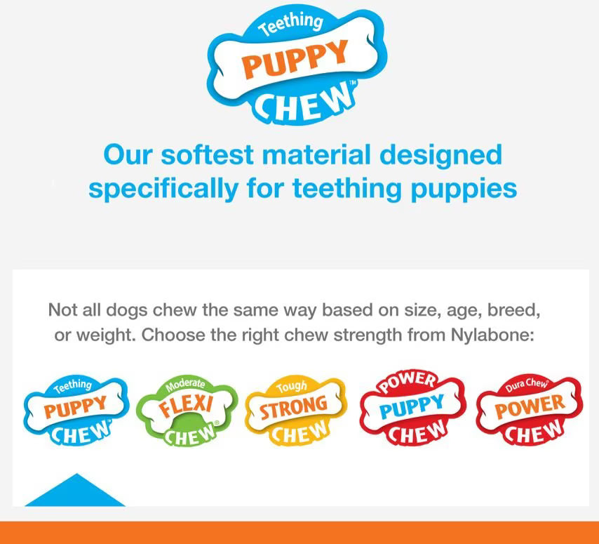 Nylabone Puppy Starter Pack Chew Toys & Treat Variety, Small, 6 count