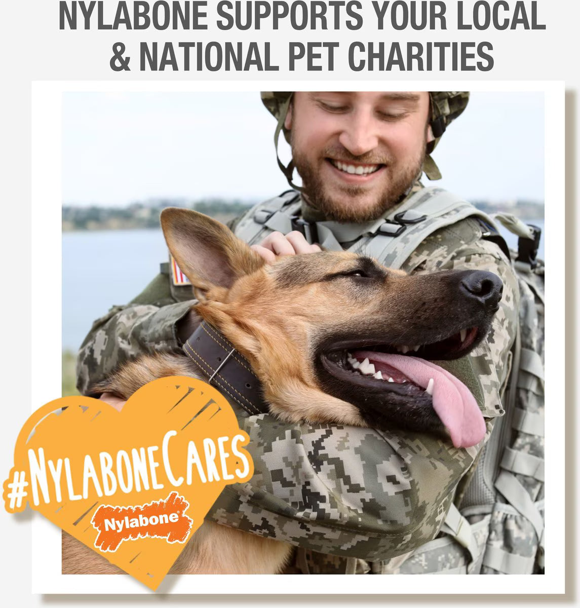 Nylabone Puppy Starter Pack Chew Toys & Treat Variety, Small, 6 count