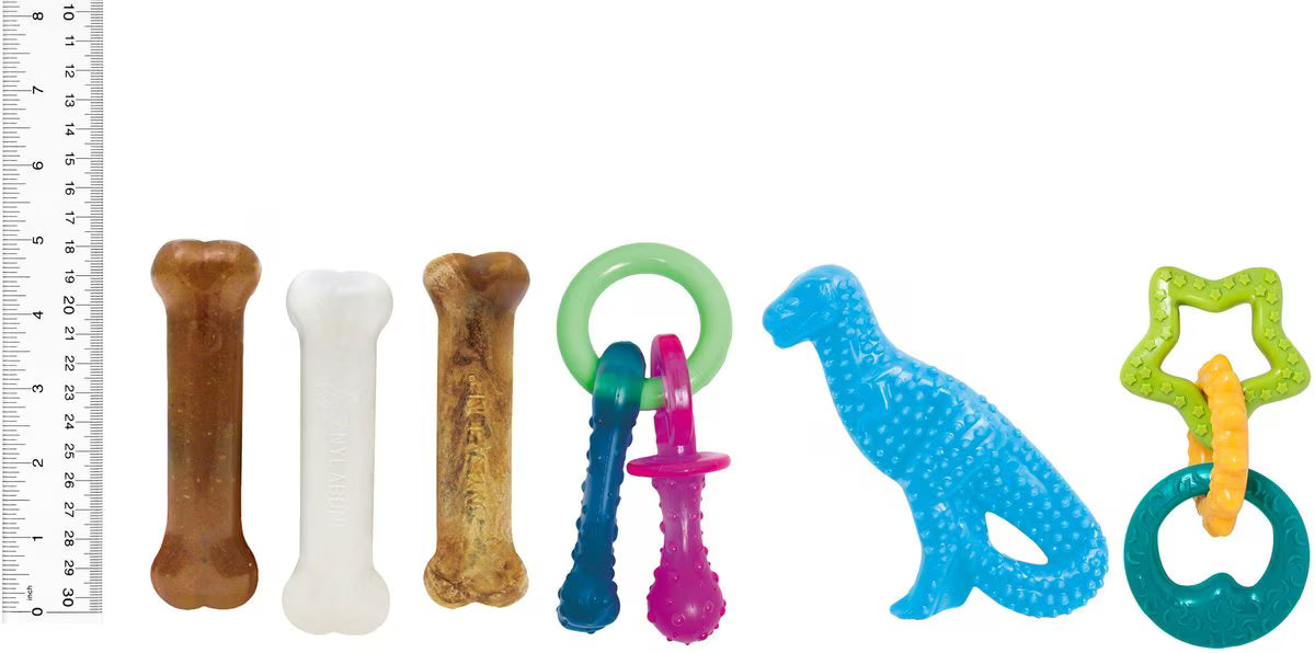 Nylabone Puppy Starter Pack Chew Toys & Treat Variety, Small, 6 count