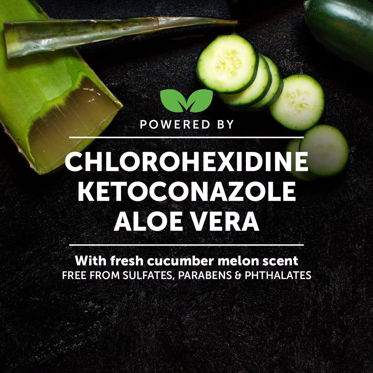 Pet Honesty Chlorhexidine Antibacterial Itchy Skin, Allergy Relief & Sensitive Skin Dog Shampoo