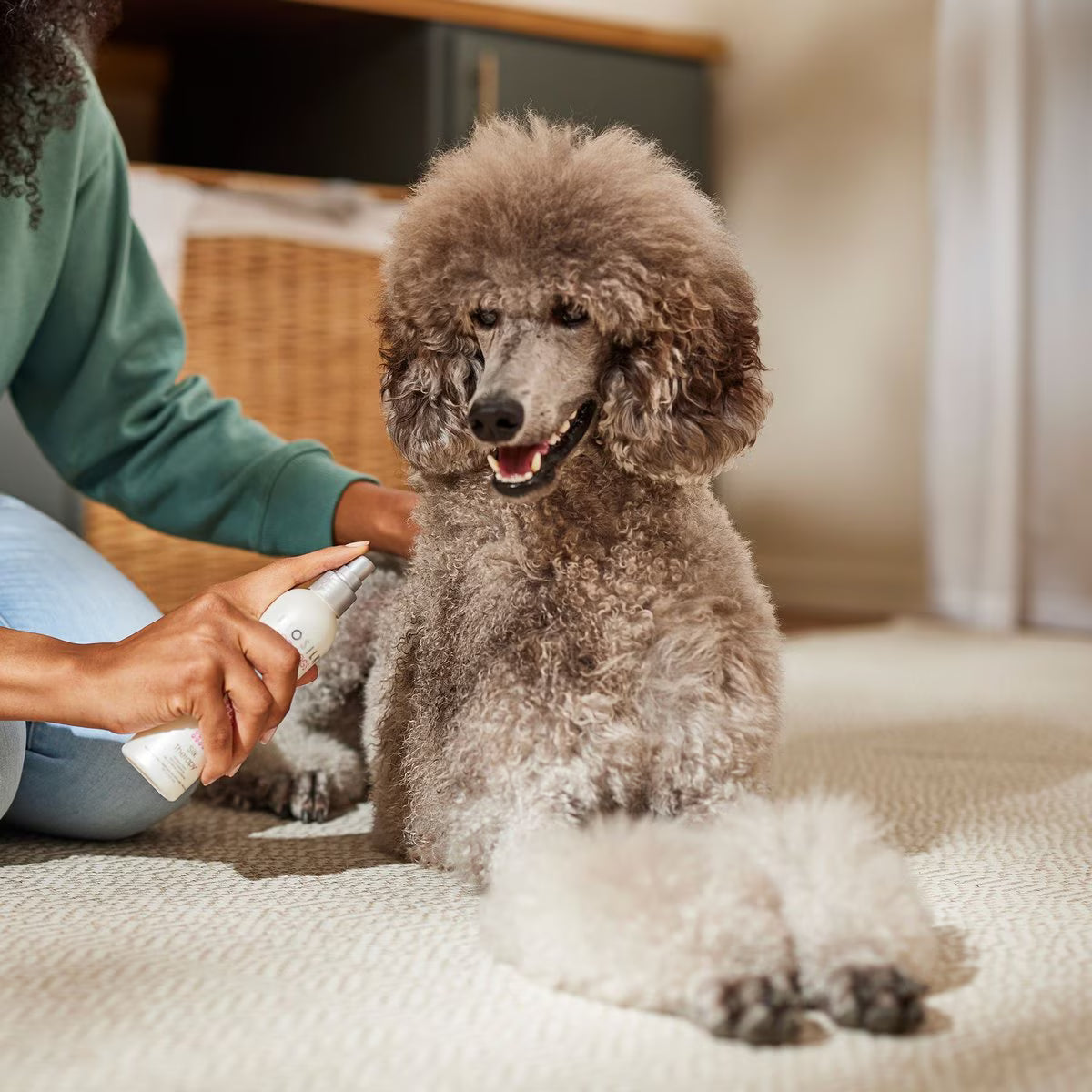 BioSilk Therapy Detangling & Shine Dog Spray, 8-fl oz bottle