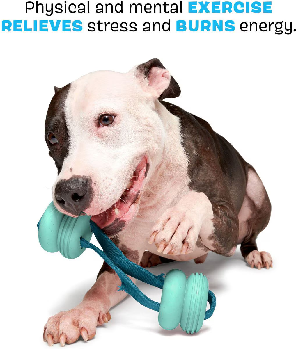 BARK Super Chewer Buoy Tug Floating Tough Dog Tug Toy, Teal