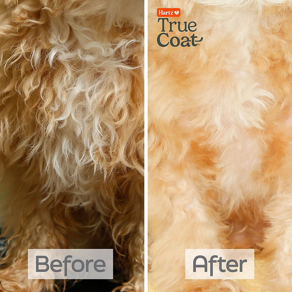 Hartz True Coat Curly or Wavy Detangles & Conditions with Oat Milk, Coconut Oil & Shea Butter Dog Shampoo, 16-fl oz bottle
