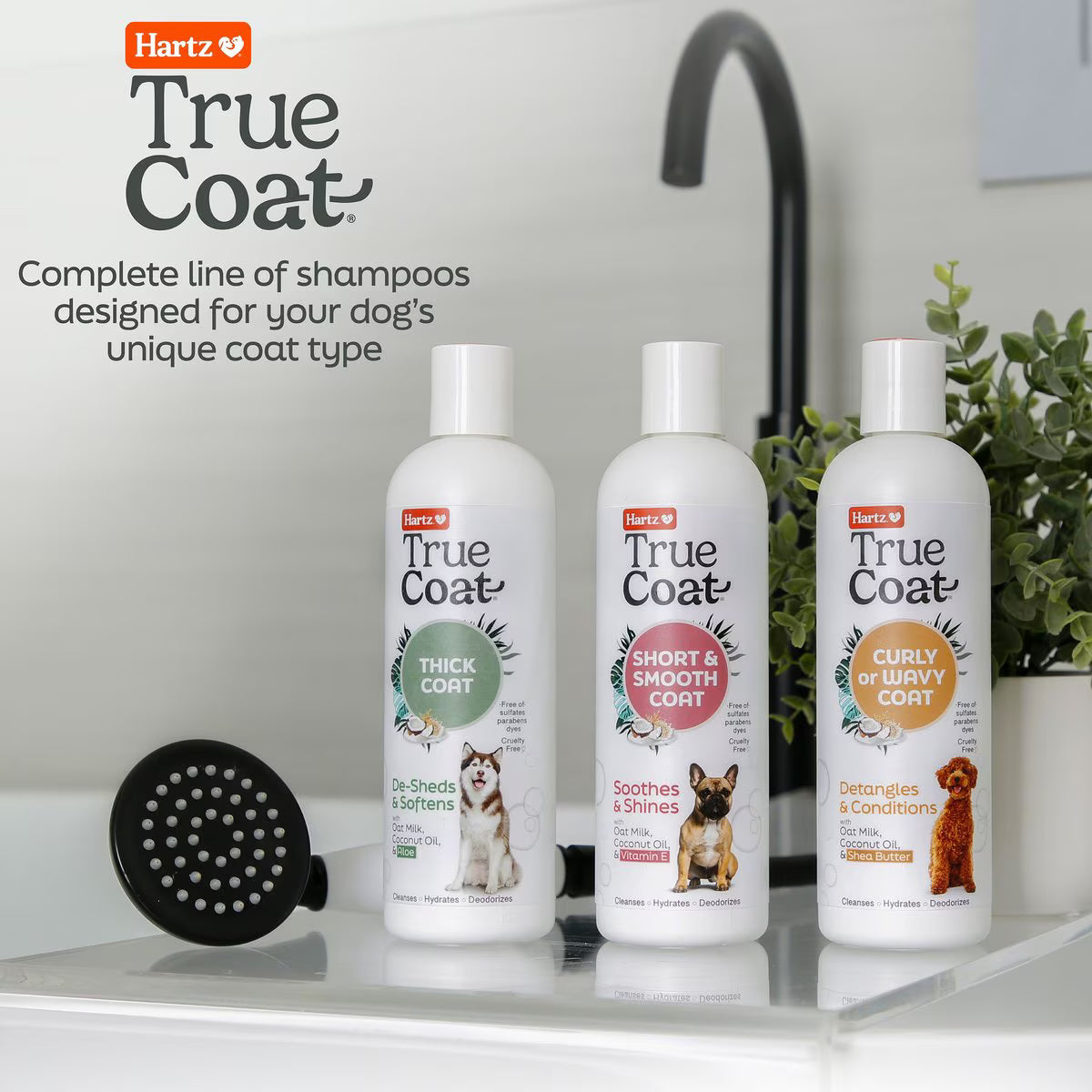 Hartz True Coat Curly or Wavy Detangles & Conditions with Oat Milk, Coconut Oil & Shea Butter Dog Shampoo, 16-fl oz bottle