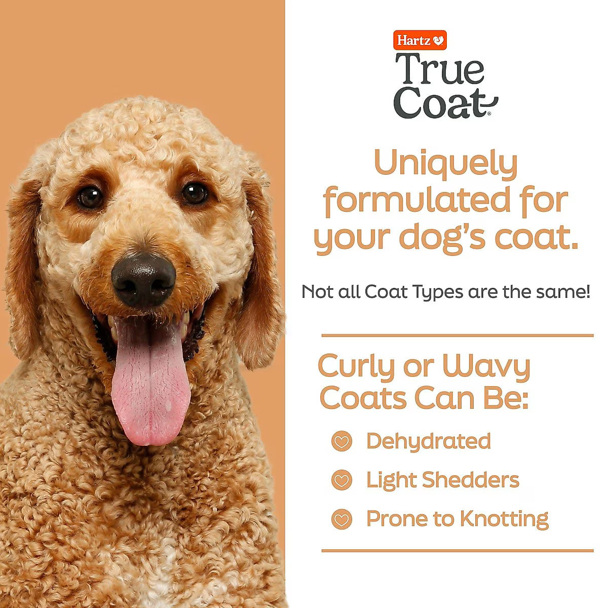 Hartz True Coat Curly or Wavy Detangles & Conditions with Oat Milk, Coconut Oil & Shea Butter Dog Shampoo, 16-fl oz bottle